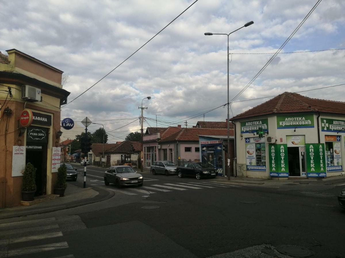 New And Nice Apartments Kragujevac Buitenkant foto