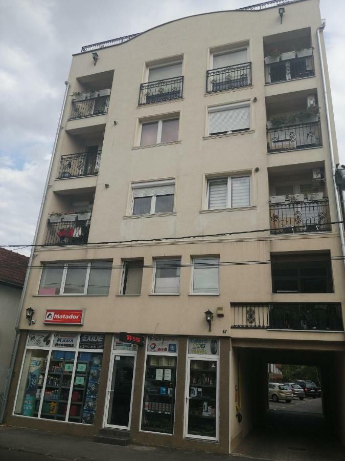 New And Nice Apartments Kragujevac Buitenkant foto